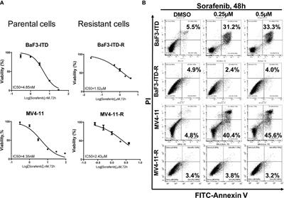 LY294002 Is a Promising Inhibitor to Overcome Sorafenib Resistance in FLT3-ITD Mutant AML Cells by Interfering With PI3K/Akt Signaling Pathway